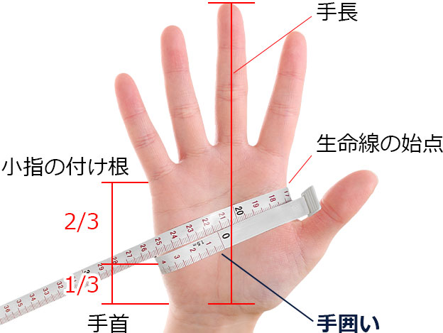 手囲いの測り方